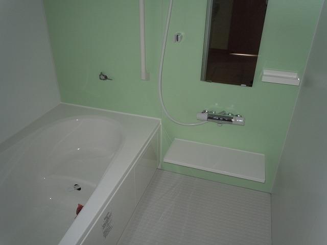Bathroom. Indoor (10 May 2013) Shooting
