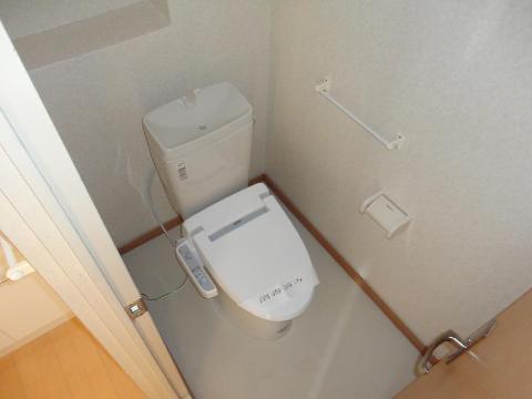 Toilet. Toilet with shower