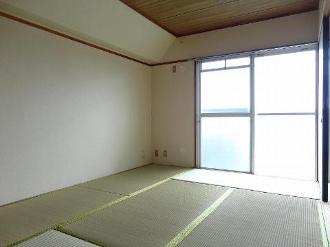 Living and room. Japanese style room