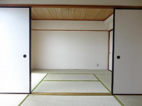 Living and room. Japanese style room