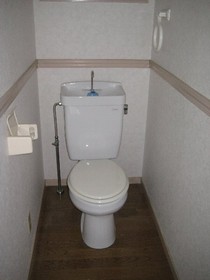 Toilet. Toilet