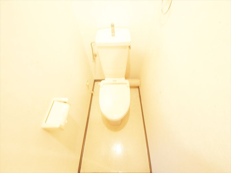 Toilet. Toilet