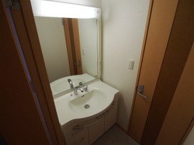 Washroom. Bathroom vanity