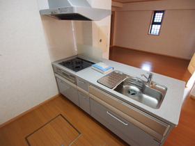 Kitchen. System kitchen