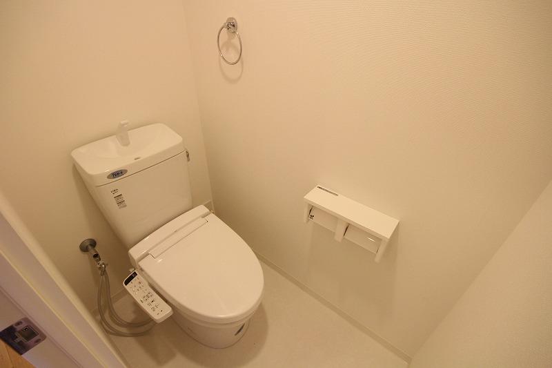 Toilet. Warm water washing toilet