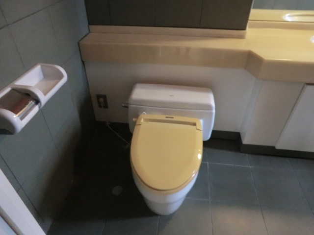 Toilet