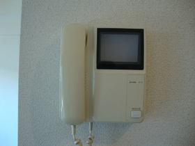 Other Equipment. TV monitor phone