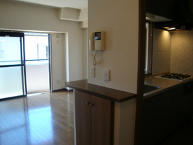 Living and room. Counter Kitchen ☆ 