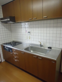 Kitchen. System kitchen