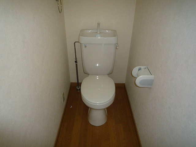 Toilet. Another Room No. reference photograph