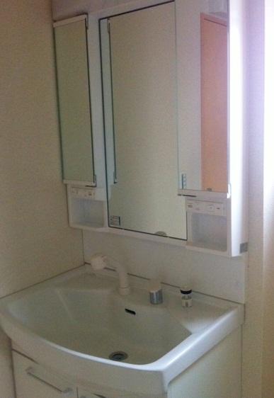 Wash basin, toilet. 1-surface mirror 750 size shampoo dresser