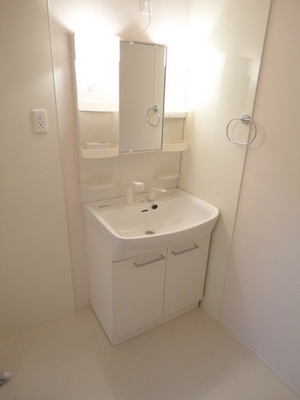 Washroom. Bathroom Vanity