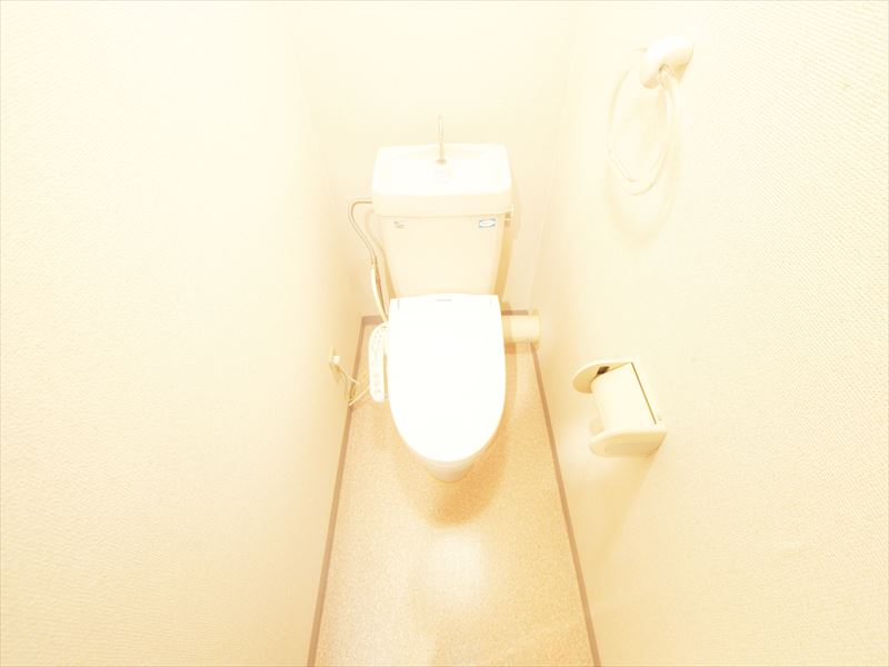 Toilet. With warm water washing toilet seat