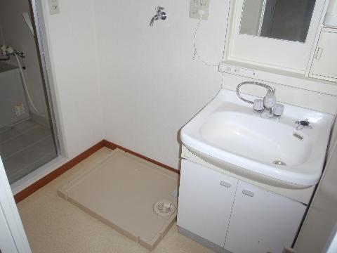 Other room space. Basin (sample)