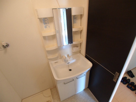 Washroom. Shampoo dresser