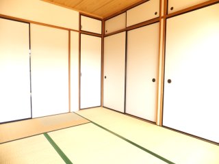 Other room space. Japanese style room