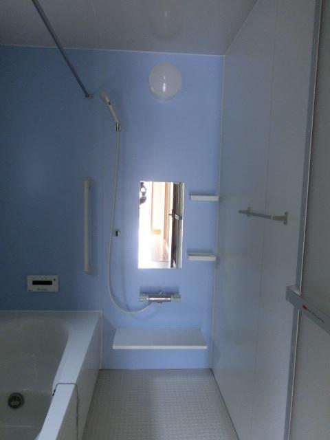 Bathroom. Indoor (10 May 2013) Shooting