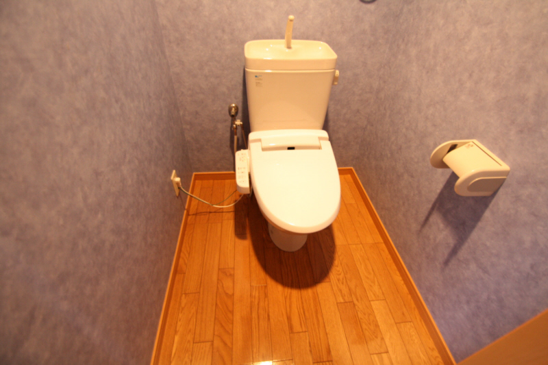 Toilet. It is with a bidet