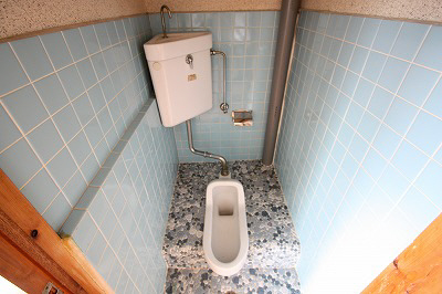 Toilet. And renovation in Western.