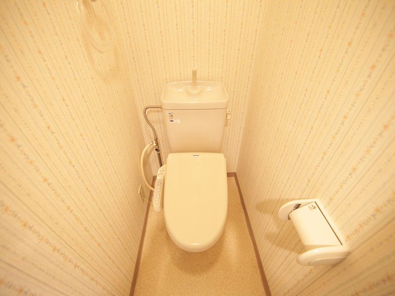 Toilet. With warm water washing toilet seat