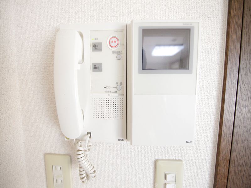 Security. Monitor with intercom