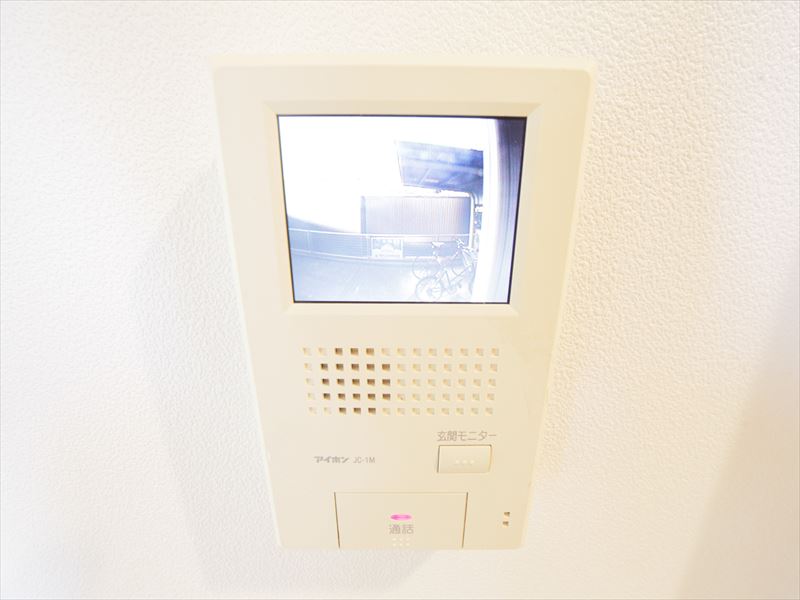 Security. Intercom with TV monitor