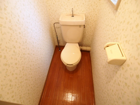 Toilet. Toilet