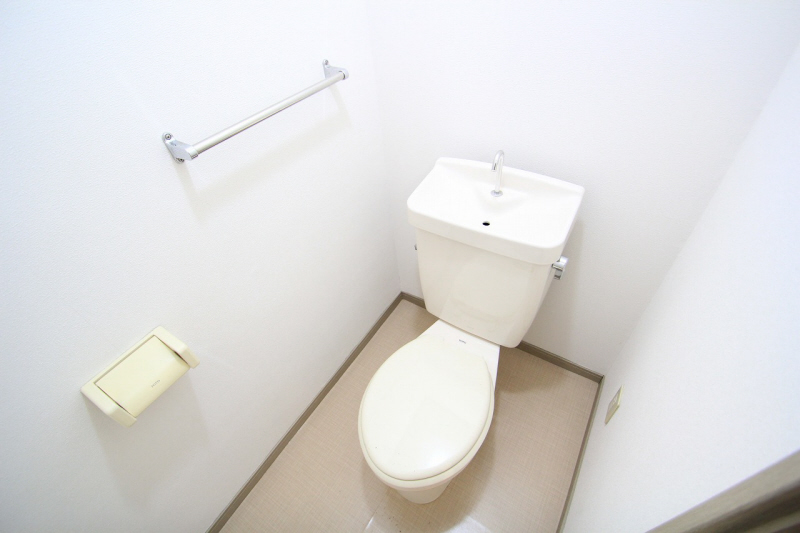 Toilet. It is a toilet with a clean. (image)