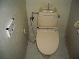 Toilet. Toilet