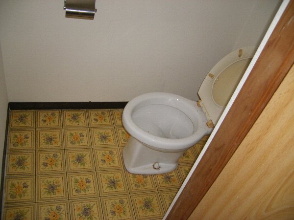 Toilet