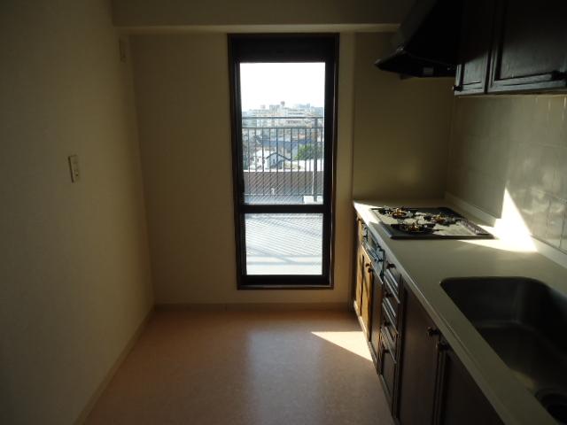 Kitchen. A balcony doorway kitchen (July 2013) Shooting