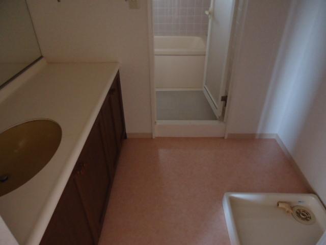 Wash basin, toilet. Washroom (July 2013) Shooting