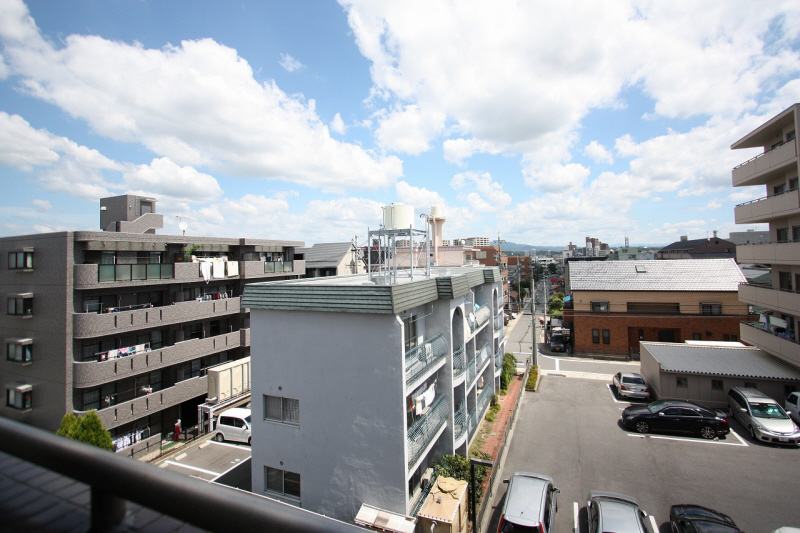 View. This is the figure from the veranda.