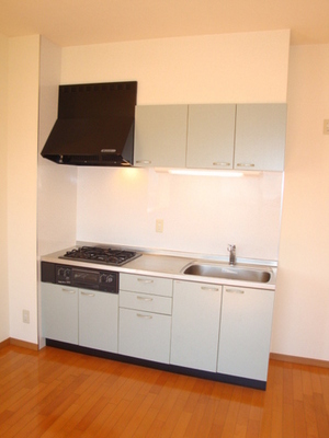 Kitchen. System kitchen