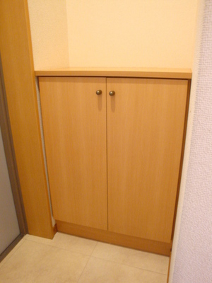 Entrance. Cupboard