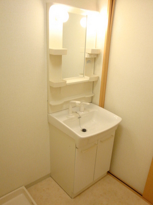 Washroom. Bathroom Vanity