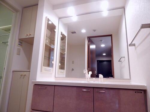 Wash basin, toilet. Bathroom vanity