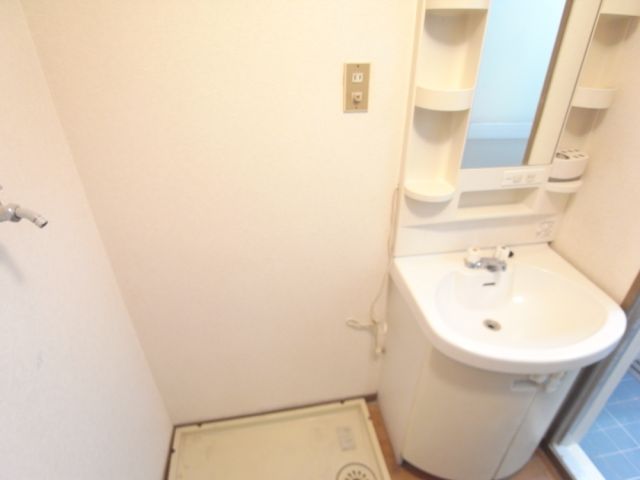 Washroom. With shampoo dresser