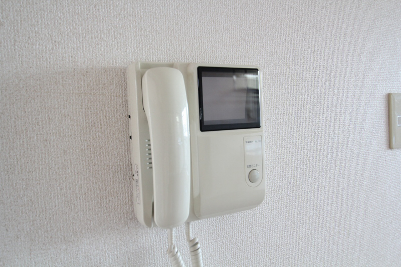 Security. It is also safe at the visitor on a TV monitor phone.