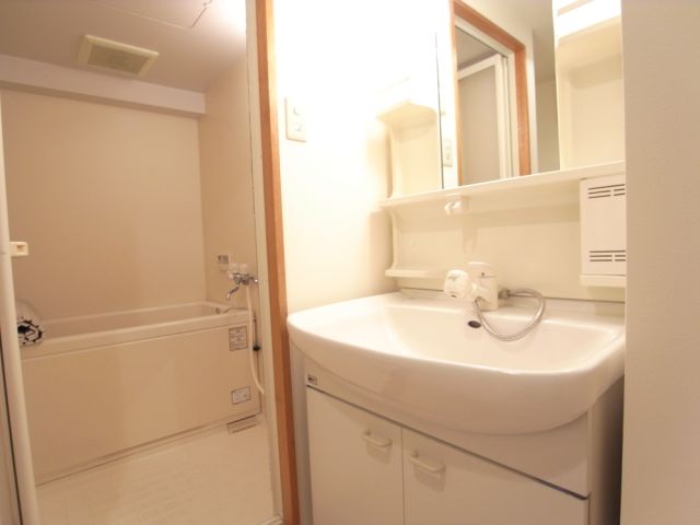 Washroom. There is a big shampoo dresser. 