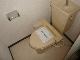 Toilet. Cleaning function toilet seat