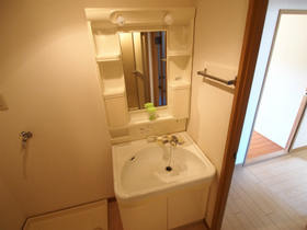 Washroom. Shampoo dresser