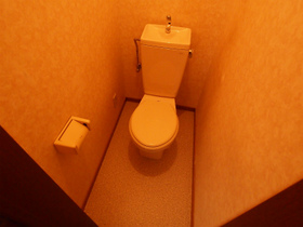 Toilet. Toilet