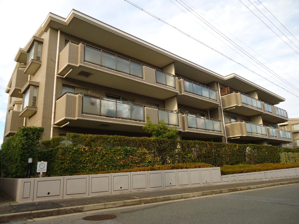 Local appearance photo. Local (11 May 2013) Shooting