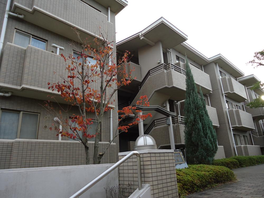 Local appearance photo. Local (11 May 2013) Shooting