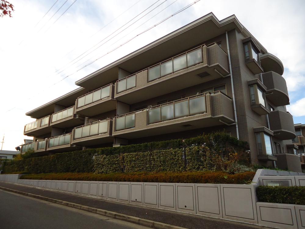 Local appearance photo. Local (11 May 2013) Shooting