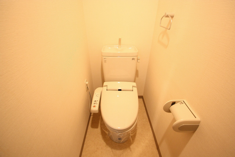 Toilet. It is a toilet with a clean.