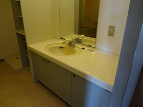 Washroom. Bathroom vanity