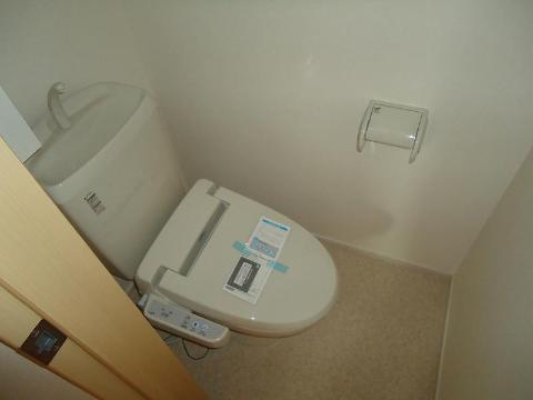 Other room space. WC sample