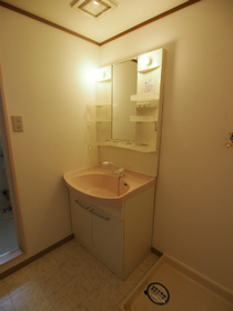 Washroom. Bathroom vanity